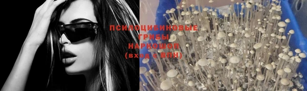 бошки Карпинск