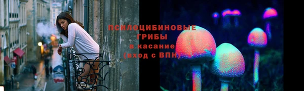 бошки Карпинск