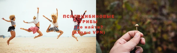 бошки Карпинск