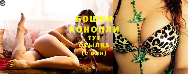 бошки Карпинск